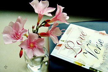Love in Verse, still life, pink, book, love, vase, verse, flowers HD wallpaper