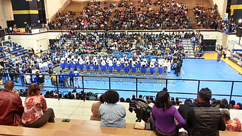 Alayna 2016 Zeta Phi Beta Probate FFW 2 20m 16s HD wallpaper