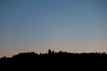 Nature, Trees, Sunset, Twilight, Forest, Dusk HD wallpaper