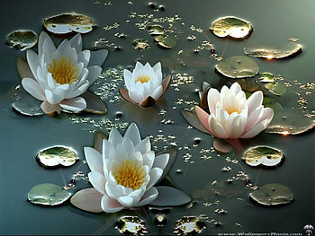 Fantastic flower, scene, fantasy HD wallpaper