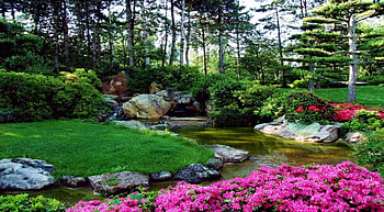 Park in Spring, parks, trees, nature, flowers, spring HD wallpaper