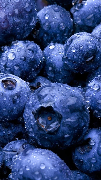 Sony Xperia blueberry , Fruit-themed design, , excellence HD phone wallpaper