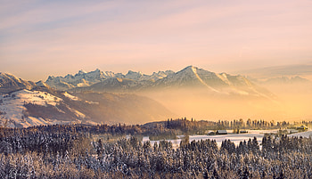 Winter, Fog, Forest, Landscape, Mountain, Nature, Sky, Snow HD wallpaper