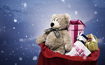 Teddy Bear, bears, teddy, animals, snow, christmas, beautiful, gift HD wallpaper