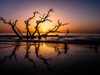 Summer Sunrise, summer, georgia you, landscape, jekll island, USA, nature, sunrise, ocean HD wallpaper