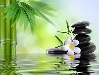 Spa still life, bamboo, beautiful, relax, stones, still life, leaves, wet, reflection, pretty, flowers, spa, water, lovely HD wallpaper