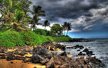 Landscape, Stones, Sky, Beach, Palms HD wallpaper