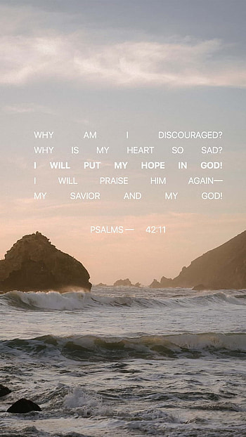 Psalm 42:11, trust, Bible, again, why, discouraged, disheartened, hope, Him, heart, praise, Lord, exalt, Jesus, Savior, downcast, sad, David, lift, scripture, verse, God, worship, Christ HD phone wallpaper