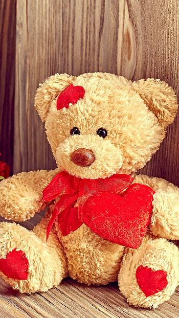 Teddy Bear Live, Cute Aesthetic HD phone wallpaper
