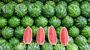 Interesting watermelon facts, Appreciating summer, Fruit trivia, Unique qualities HD wallpaper