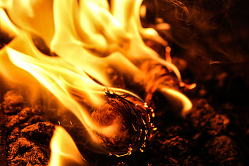Fire, Bonfire, Macro, Ash, Smoldering, Smouldering HD wallpaper