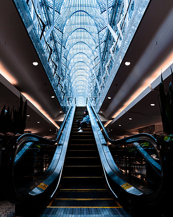 Interior, Building, Miscellanea, Miscellaneous, Girl, Ladder, Stairs, Escalator HD phone wallpaper