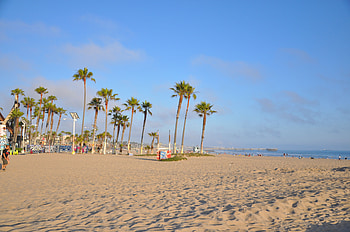 Venice Beach, sand, venice, palm, beach, tree HD wallpaper