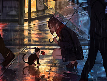 Anime Girl and Kitten, rose, kitten, girl, rain HD wallpaper