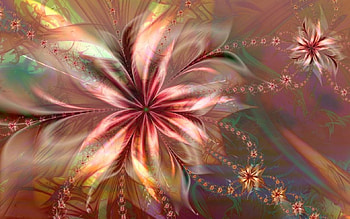 Fractal Flower, pink, fractal, color, flower HD wallpaper