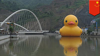 Giant Rubber Duck made by Florentijn Hofman flushed away by storm in China HD wallpaper