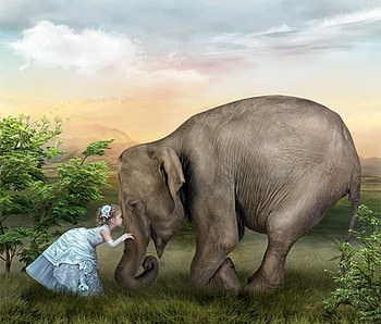 Reverence, abstract, 3d, art work, love, elephant, friendship, child HD wallpaper
