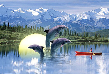 Dolphen Jumping In Water, , dolphen, in water, beautiful, jumping HD wallpaper