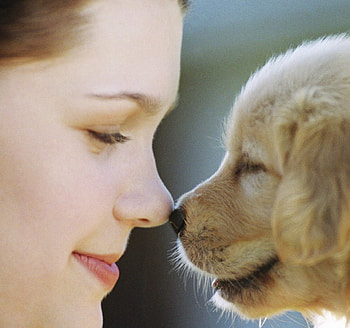FOREVER FRIENDS AND BEST BUDDYS, cute, friendship, adorable, display HD wallpaper