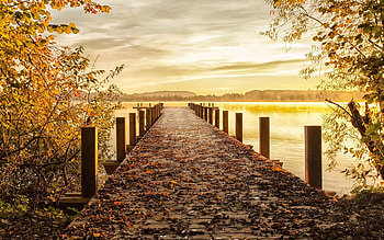 Autumn Pier, autumn, pier, leaves, lake HD wallpaper