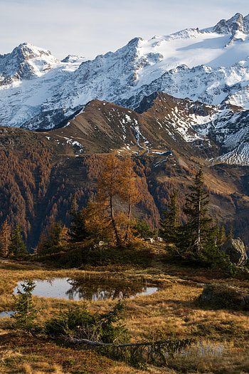 Landscape, Nature, Trees, Snow, Mountain, Puddle HD phone wallpaper