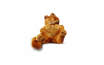 Garfield, Garfield the cat, Cat-themed HD wallpaper