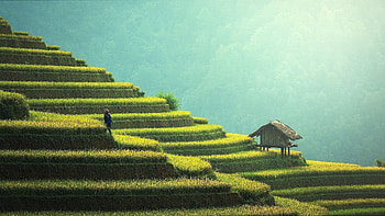 Bali dream trip, Unforgettable experiences, Exotic getaway, Magical moments HD wallpaper