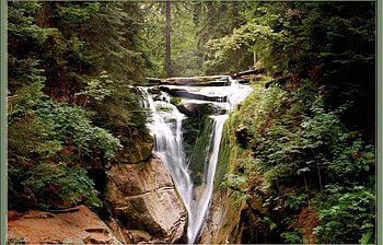 Landscape, Trees, Waterfalls HD wallpaper