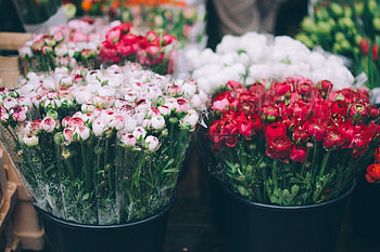 Flowers, Bouquets, Blur, Smooth HD wallpaper