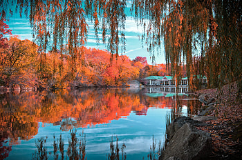 *** Autumn in Central Park ***, fall, central, autumn, nature, park HD wallpaper