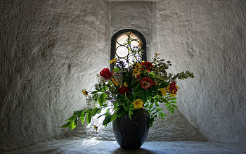 Flowers, Tulips, Walls, Bouquet, Window, Vase HD wallpaper