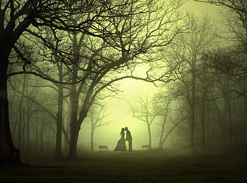 Kiss, love, couple, nature, banks, tree HD wallpaper