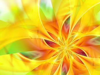 Abstract, Flower, Bright, Brush HD wallpaper