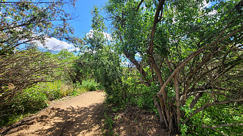 Hiking in Greater San Diego County – Landscape graphy, Southern California, California, landscape, hiking, graphy, nature HD wallpaper