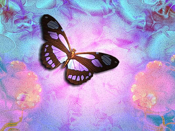 In my world ;), blue, sunshine, beautiful, wonderful, purple, butterflies, pink, soft colors, animals, love, world, forever HD wallpaper