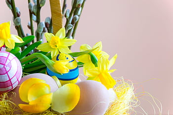 Bright Easter scene with decorated eggs and blooming daffodils, creating a festive spring atmosphere. HD wallpaper