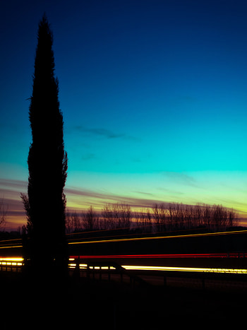 Sky, Night, Dark, Silhouette, Wood, Tree, Long-Term Exposure HD phone wallpaper