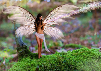 Beautiful fairy, wings, fantasy, beautiful, forest, woman HD wallpaper