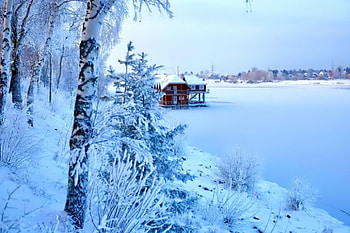 Winter, graphy, wonderful, snowflakes, snowflake, snow, trees, , sun, cold, beautiful, tree, nature, sky, lovely, splendor, ice HD wallpaper