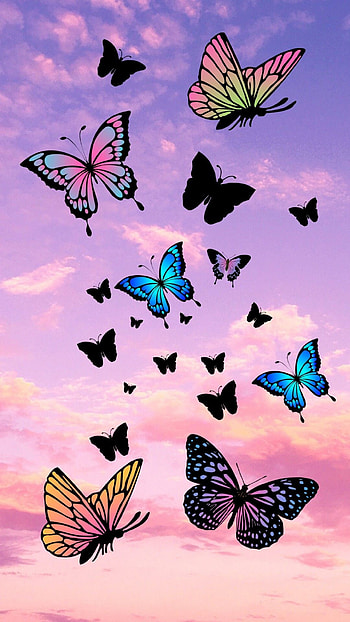 Pink Butterflies (best Pink Butterflies and ) on Chat, Pink Butterfly HD phone wallpaper