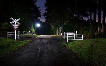 Nature, Night, Signs, Road, Crossing, Moving HD wallpaper