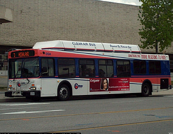 New Flyer C40LF, New Flyer, Buses, Cartoons, Disney HD wallpaper