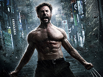 The Wolverine, Wolverine , ID808 HD wallpaper