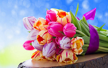 Flower bouquet, Spring beauty, , Colorful arrangement HD wallpaper