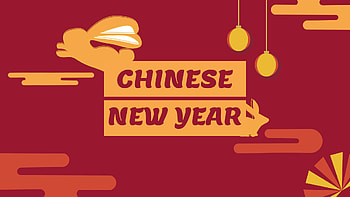Year of the rabbit, holiday, Chinese New Year HD wallpaper
