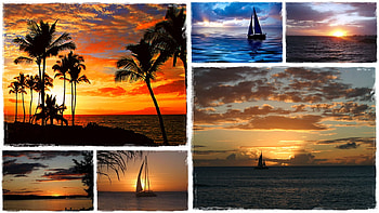Boats in the Sunset, boat, palm, pretty, clouds, trees, beautiful, sunset, beach HD wallpaper