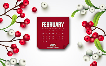 February 2022 Calendar, , white winter background, February, berries background, 2022 February Calendar, winter calendars HD wallpaper