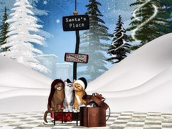 Santa's Place, winter, animals, snow, trees, adorable, magic christmas, santa, sweet, white, merry christmas, cat, tree, cat face, fantasy, pretty, nature, lovely, dream, cats, cute, gift, beauty, xmas, holiday, hat, christmas tree, magic, beautiful, paws, box, christmas, clouds, sky, splendor HD wallpaper