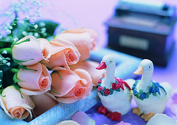Flowers, Geese, Roses, Drops, Bouquet, Gypsophilus, Gipsophile HD wallpaper