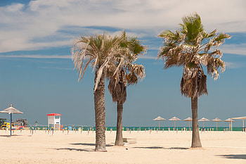 Rimini, Train travel, Convenient journey, SBB connection HD wallpaper